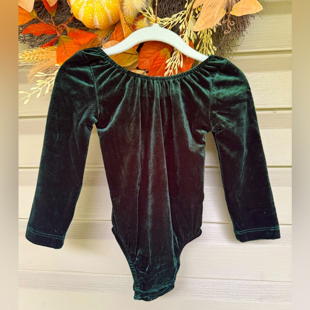 Baileys Blossoms Green Velour Long Sleeve Bodysuit